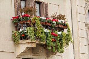 Piante ricadenti sul balcone, per un effetto wow nel giardinaggio urbano.